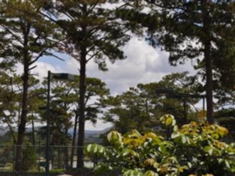 Thanh Loan 3 Hotel Dalat Eksteriør bilde